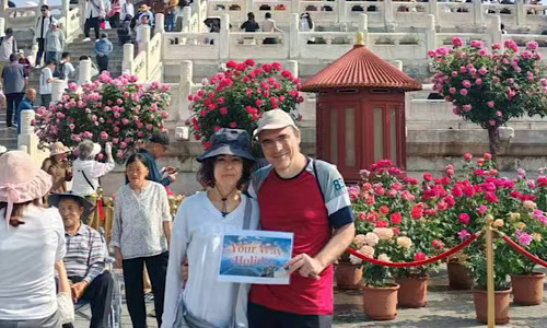 Chinese Medicine Cultural Exploration: One-Day Tour in Beijing